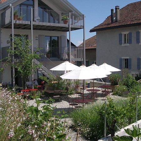 Le Coq Chantant Studios D'Hotes & Boutique Hotel St-Livres Saint-Livres Экстерьер фото