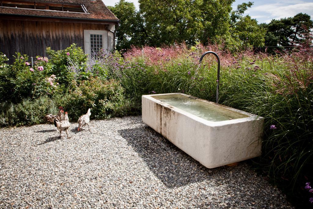 Le Coq Chantant Studios D'Hotes & Boutique Hotel St-Livres Saint-Livres Экстерьер фото